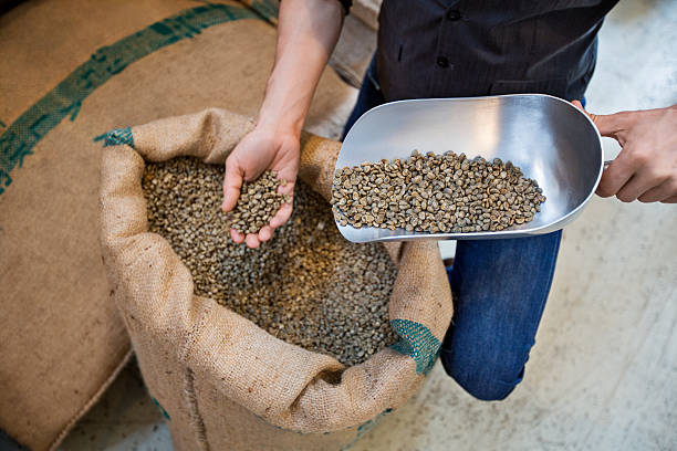 COFFEE BEAN